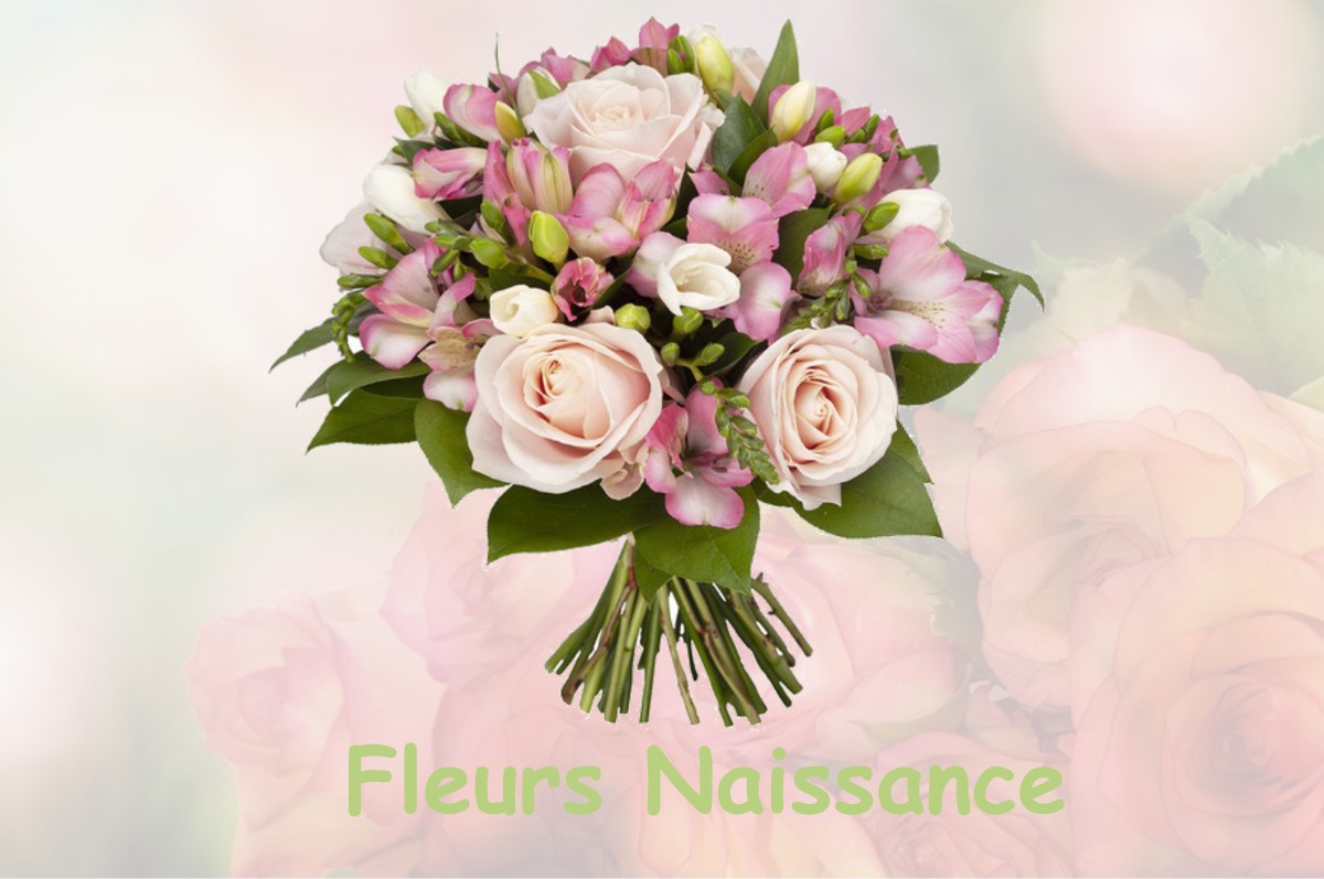 fleurs naissance LONGWY-SUR-LE-DOUBS